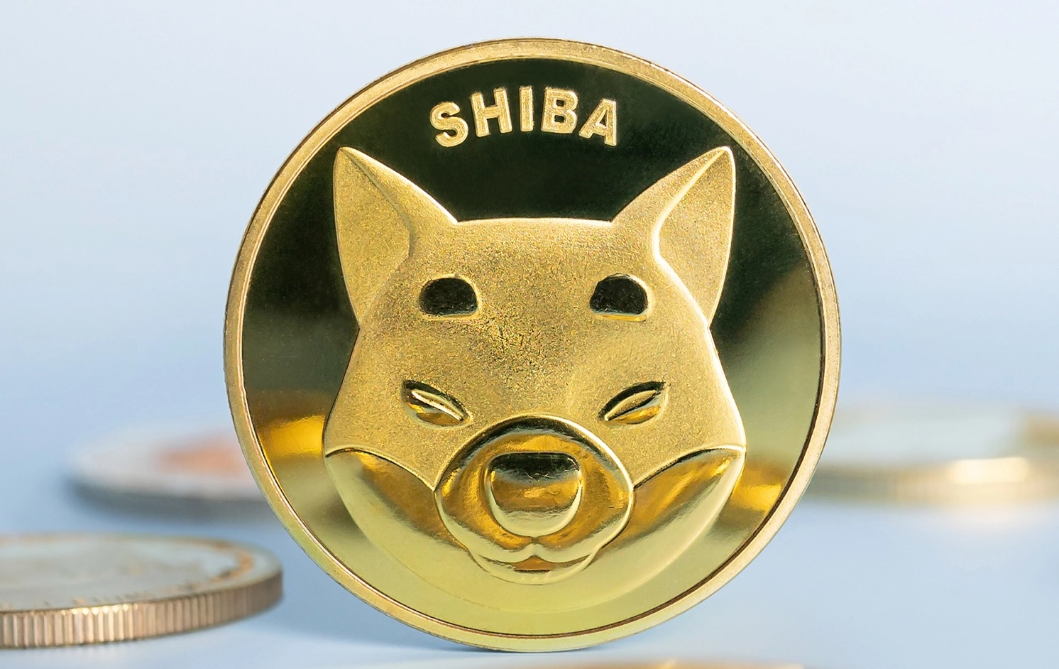 Shiba Inu leading Dogecoin in gains, SHIB up over 23% on the day