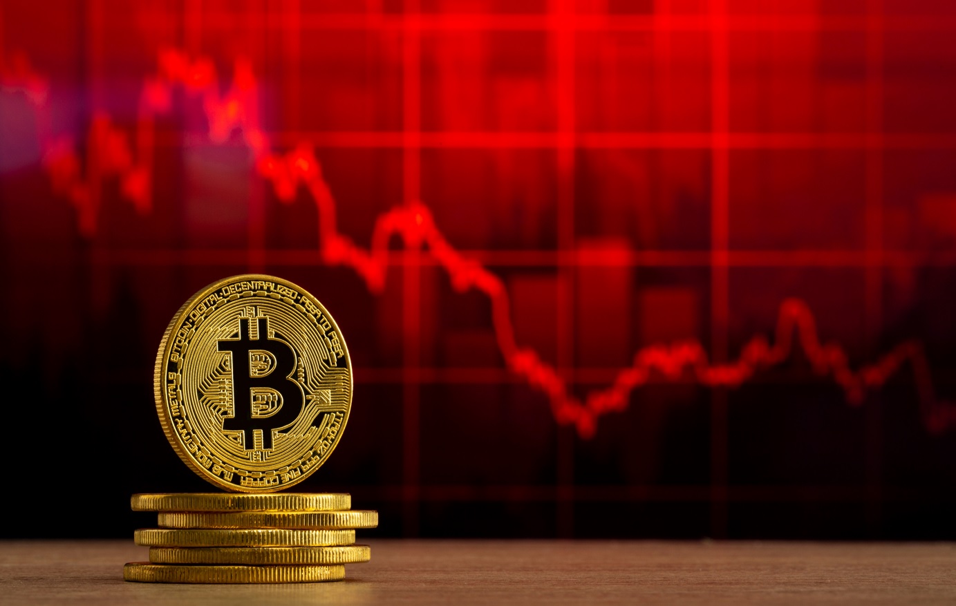 Bitcoin loses support above $42,000 as crypto markets turn red
